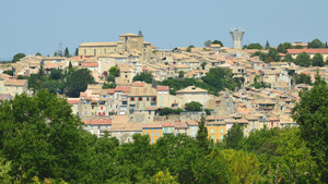 Traitement punaises de lit Montgeron